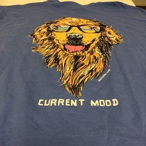 NWT Southern Lure Size Medium Mystic Blue Cool Dog